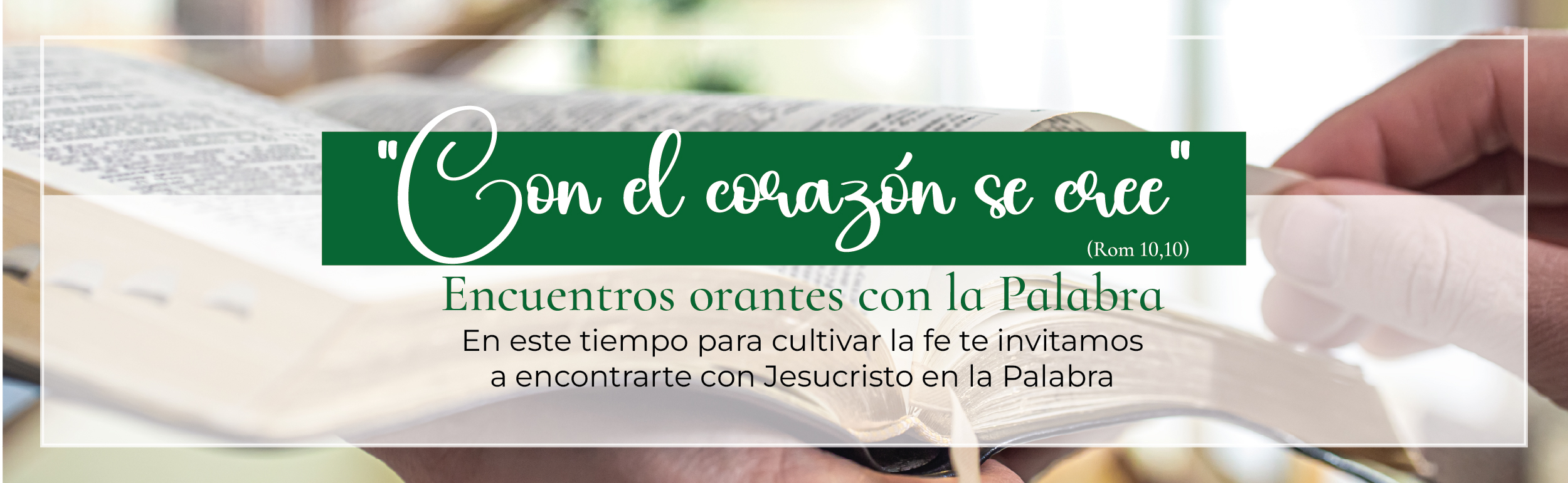 Diseño Vicaría de Evangelización